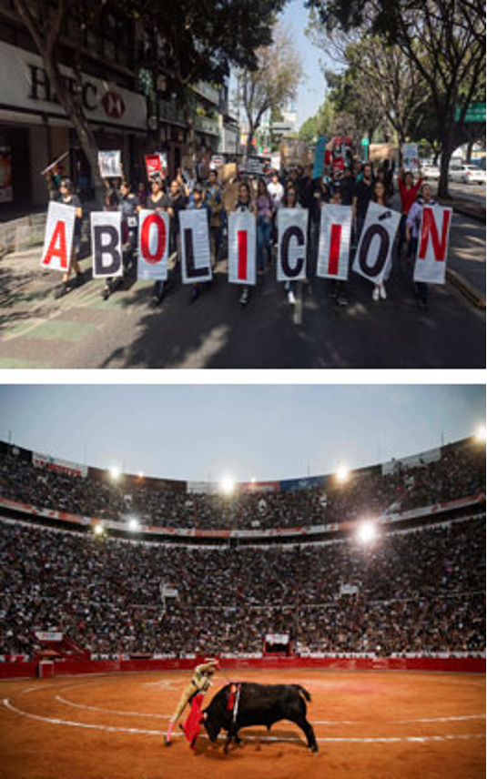 Una imagen de un toro y un cartel que dice abolición.