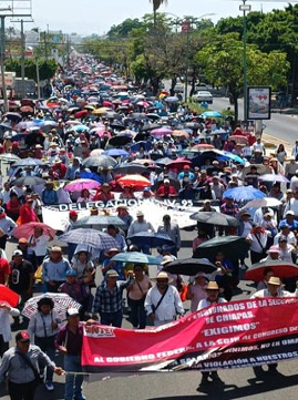 Gran multitud de personas con paraguas y pancartas caminando por una calle durante una protesta.