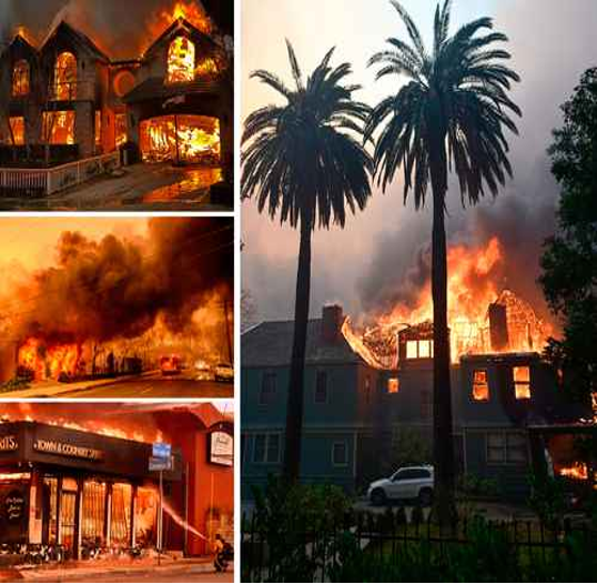 Collage de edificios envueltos en grandes llamas y humo espeso, con palmeras recortadas contra el fondo ardiente.