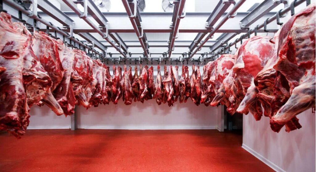 México elimina aranceles de importación a productos alimenticios por un año.