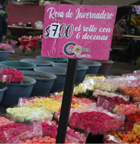Un cartel dice "Rosa de Invernadero $7.00 el rollo con 6 docenas" frente a flores envueltas en plástico de varios colores en un mercado.