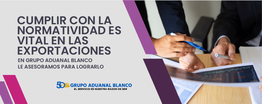 VerificaciÃ³n y revisiÃ³n 