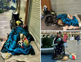 Una persona en silla de ruedas en la calle con un perro, mantas y pertenencias. Dos imÃ¡genes los muestran descansando, mientras que una los muestra sentados y sosteniendo al perro.