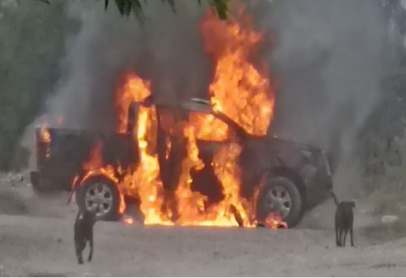 Un coche se incendia delante de un grupo de perros.