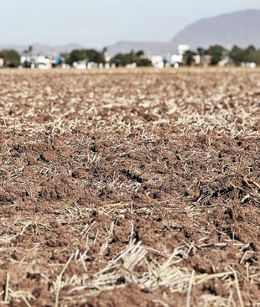 Campo seco y árido con tierra visible y vegetación escasa. Ãrboles y edificios distantes bajo un cielo despejado, con colinas al fondo.