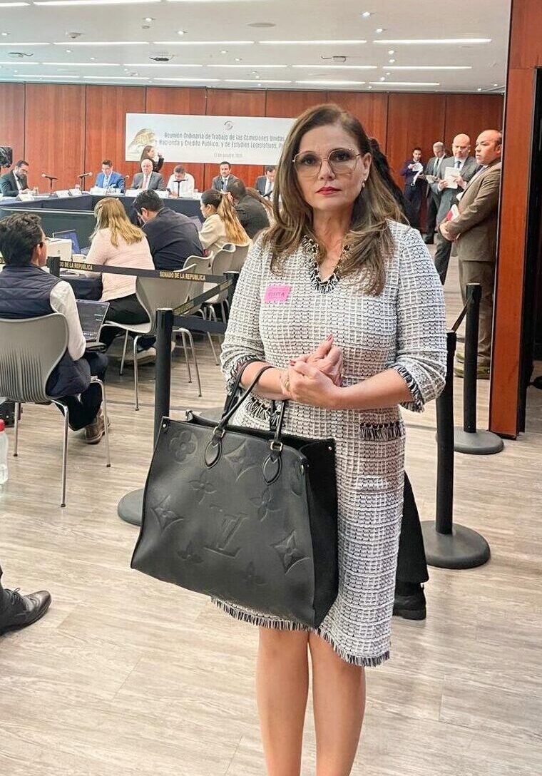 En primer plano, una mujer sostiene un gran bolso negro en una sala de conferencias dedicada a la importación y la exportación, donde la gente está sentada y un panel habla al frente.